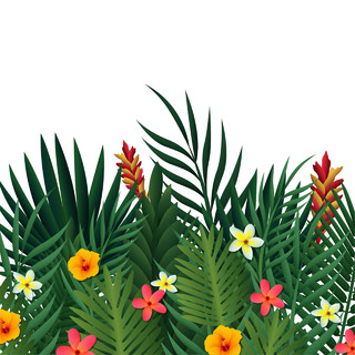 棕榈叶热带植物树叶花素材